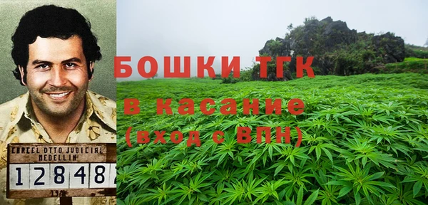 стаф Кулебаки