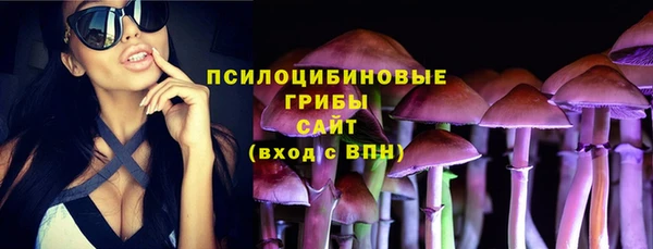 стаф Кулебаки