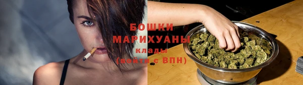 стаф Кулебаки