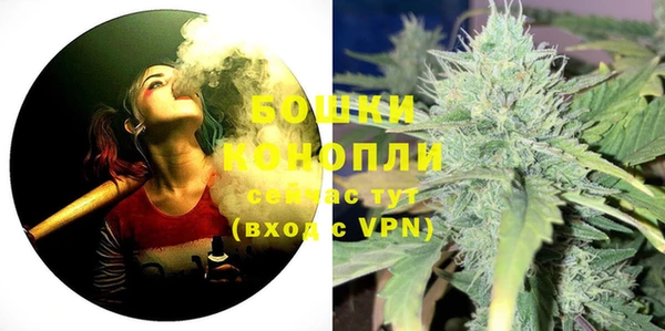 стаф Кулебаки