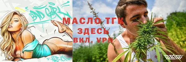 стаф Кулебаки