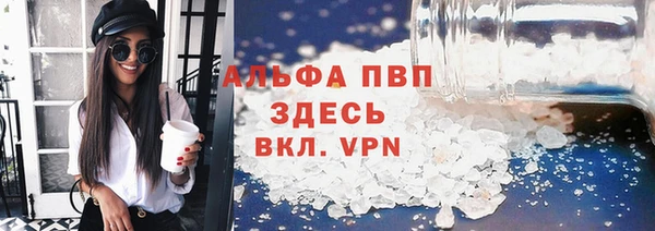стаф Кулебаки