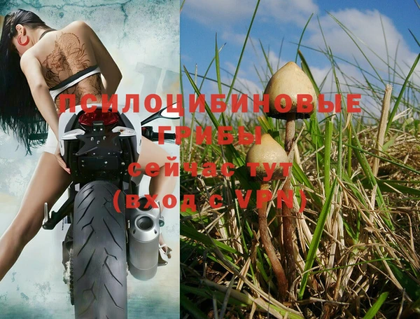 не бодяженный Кукмор