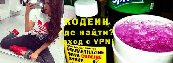 стаф Кулебаки