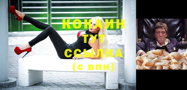 стаф Кулебаки
