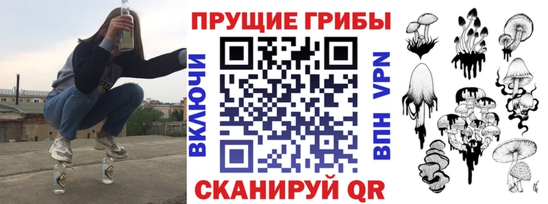 Псилоцибиновые грибы мухоморы  где продают   Няндома 